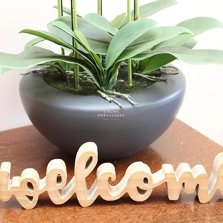 Lagoas - By Dalma Portuguesa